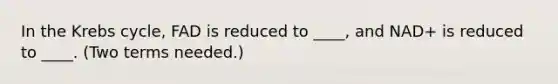 In the Krebs cycle, FAD is reduced to ____, and NAD+ is reduced to ____. (Two terms needed.)