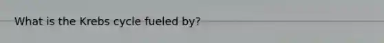 What is the Krebs cycle fueled by?
