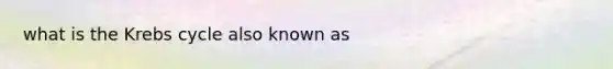 what is the Krebs cycle also known as