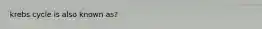 krebs cycle is also known as?