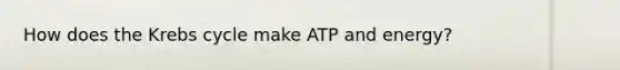 How does the Krebs cycle make ATP and energy?