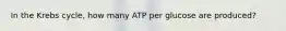 In the Krebs cycle, how many ATP per glucose are produced?