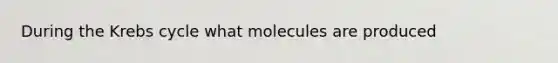 During the Krebs cycle what molecules are produced