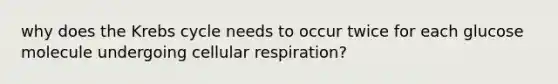 why does the Krebs cycle needs to occur twice for each glucose molecule undergoing cellular respiration?