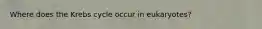 Where does the Krebs cycle occur in eukaryotes?