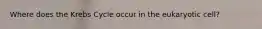 Where does the Krebs Cycle occur in the eukaryotic cell?