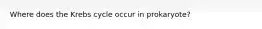 Where does the Krebs cycle occur in prokaryote?