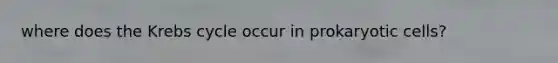 where does the Krebs cycle occur in prokaryotic cells?