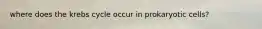 where does the krebs cycle occur in prokaryotic cells?