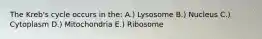 The Kreb's cycle occurs in the: A.) Lysosome B.) Nucleus C.) Cytoplasm D.) Mitochondria E.) Ribosome