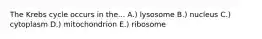 The Krebs cycle occurs in the... A.) lysosome B.) nucleus C.) cytoplasm D.) mitochondrion E.) ribosome