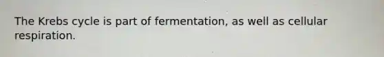 The Krebs cycle is part of fermentation, as well as cellular respiration.