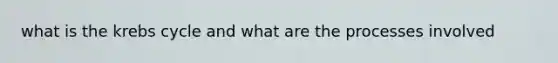 what is the krebs cycle and what are the processes involved