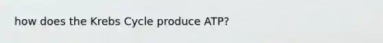 how does the Krebs Cycle produce ATP?