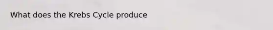 What does the <a href='https://www.questionai.com/knowledge/kqfW58SNl2-krebs-cycle' class='anchor-knowledge'>krebs cycle</a> produce