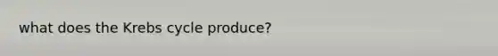 what does the Krebs cycle produce?