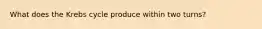 What does the Krebs cycle produce within two turns?