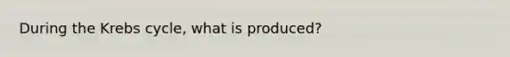 During the <a href='https://www.questionai.com/knowledge/kqfW58SNl2-krebs-cycle' class='anchor-knowledge'>krebs cycle</a>, what is produced?