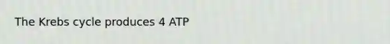 The <a href='https://www.questionai.com/knowledge/kqfW58SNl2-krebs-cycle' class='anchor-knowledge'>krebs cycle</a> produces 4 ATP