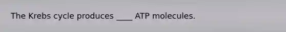 The Krebs cycle produces ____ ATP molecules.