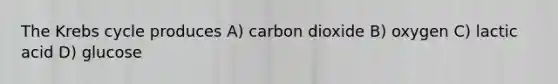 The Krebs cycle produces A) carbon dioxide B) oxygen C) lactic acid D) glucose