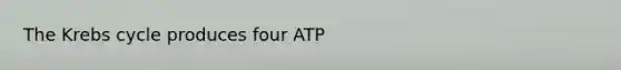 The Krebs cycle produces four ATP