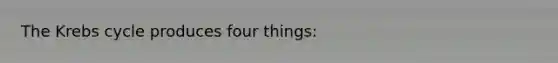 The Krebs cycle produces four things: