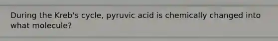 During the Kreb's cycle, pyruvic acid is chemically changed into what molecule?