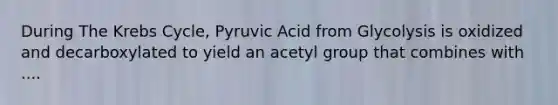 During The Krebs Cycle, Pyruvic Acid from Glycolysis is oxidized and decarboxylated to yield an acetyl group that combines with ....