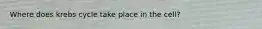 Where does krebs cycle take place in the cell?