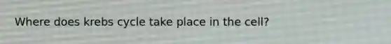 Where does krebs cycle take place in the cell?