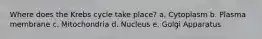 Where does the Krebs cycle take place? a. Cytoplasm b. Plasma membrane c. Mitochondria d. Nucleus e. Golgi Apparatus
