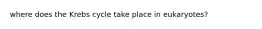where does the Krebs cycle take place in eukaryotes?