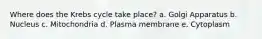 Where does the Krebs cycle take place? a. Golgi Apparatus b. Nucleus c. Mitochondria d. Plasma membrane e. Cytoplasm