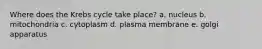 Where does the Krebs cycle take place? a. nucleus b. mitochondria c. cytoplasm d. plasma membrane e. golgi apparatus