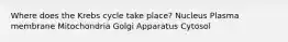 Where does the Krebs cycle take place? Nucleus Plasma membrane Mitochondria Golgi Apparatus Cytosol