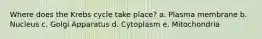 Where does the Krebs cycle take place? a. Plasma membrane b. Nucleus c. Golgi Apparatus d. Cytoplasm e. Mitochondria