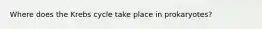 Where does the Krebs cycle take place in prokaryotes?