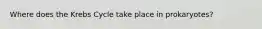 Where does the Krebs Cycle take place in prokaryotes?
