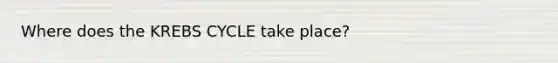 Where does the KREBS CYCLE take place?