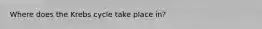 Where does the Krebs cycle take place in?