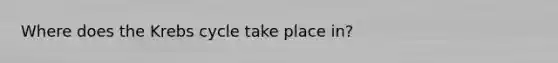 Where does the Krebs cycle take place in?
