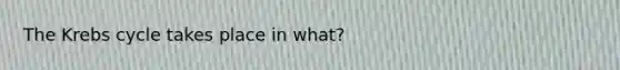 The Krebs cycle takes place in what?