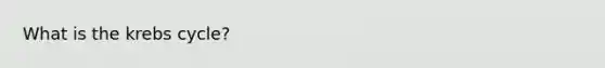 What is the <a href='https://www.questionai.com/knowledge/kqfW58SNl2-krebs-cycle' class='anchor-knowledge'>krebs cycle</a>?