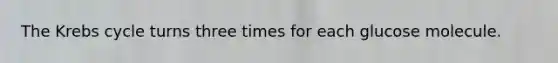 The Krebs cycle turns three times for each glucose molecule.