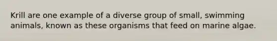Krill are one example of a diverse group of small, swimming animals, known as these organisms that feed on marine algae.