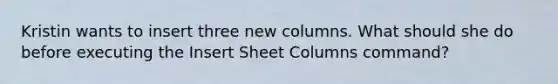 Kristin wants to insert three new columns. What should she do before executing the Insert Sheet Columns command?