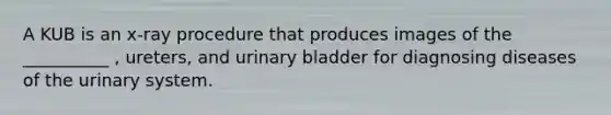 A KUB is an x-ray procedure that produces images of the __________ , ureters, and urinary bladder for diagnosing diseases of the urinary system.