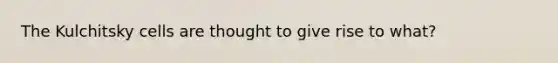 The Kulchitsky cells are thought to give rise to what?