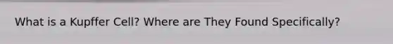 What is a Kupffer Cell? Where are They Found Specifically?